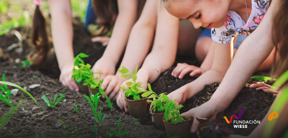 niños y el medioambiente