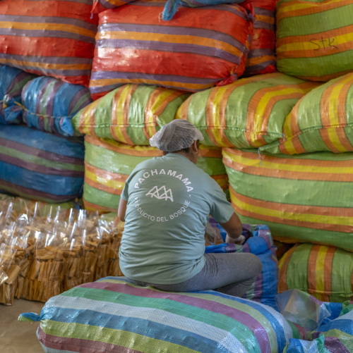 Pachamama Trabajando por bosques saludables