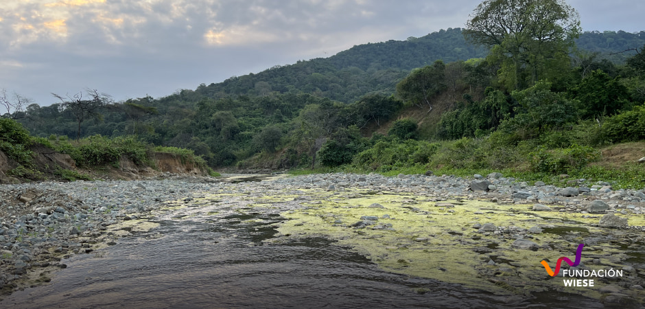 Sobre Pachamama 