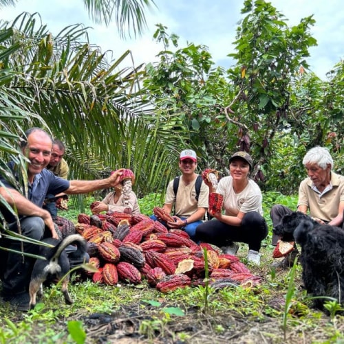 transformando-el-vraem-traves-del-cultivo-de-cacao