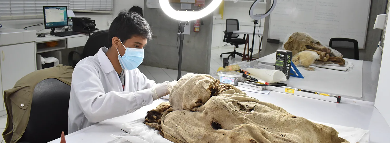 Conocer para comprender.