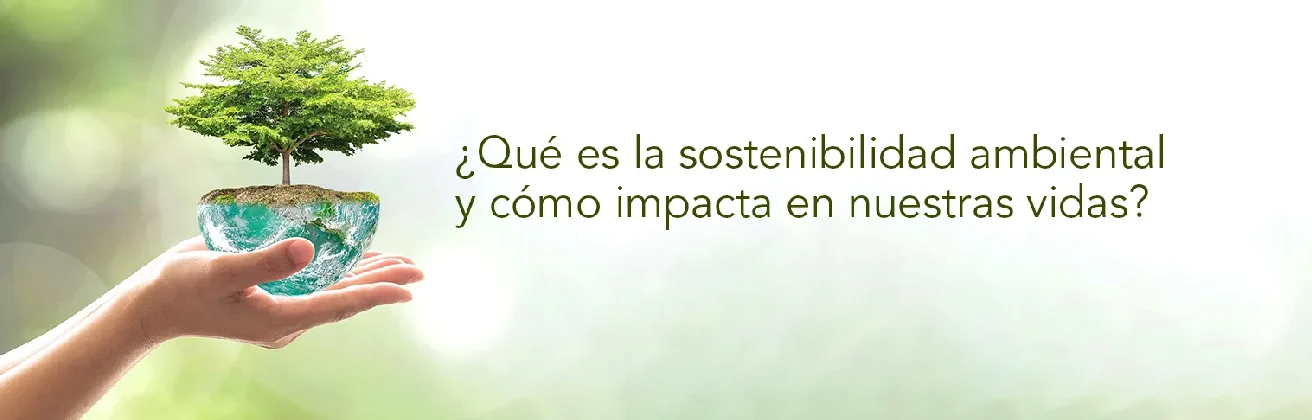 Sostenibilidad ambiental: qué es, importancia y beneficios