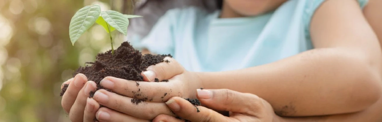 Celebramos el Día del Medio Ambiente con 3 empresas sociales peruanas con prácticas sostenibles