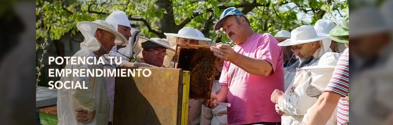 Fondo Emprendedor: ¿Por qué la Fundación Wiese decidió a apostar por el emprendimiento social?