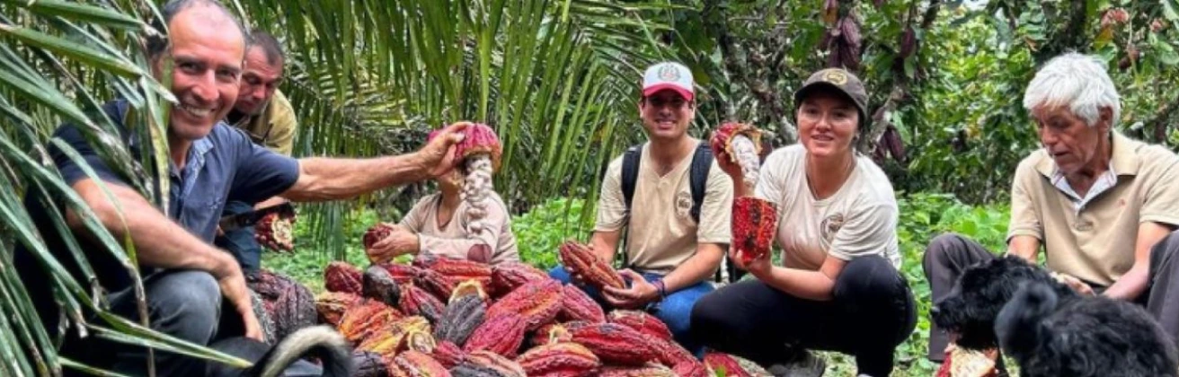 Inkao Perú: Transformando el VRAEM a través del cultivo de cacao