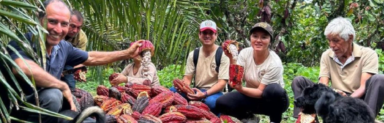 Inkao Peru: Transforming the VRAEM through cacao farming