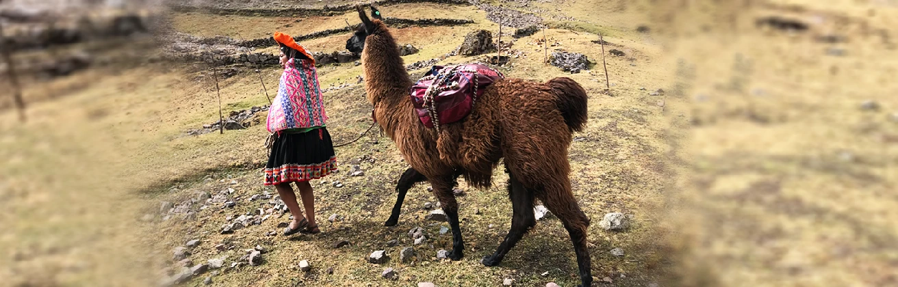Llama Pack and the revaluation of llameros: Eco-friendly tourism for local development