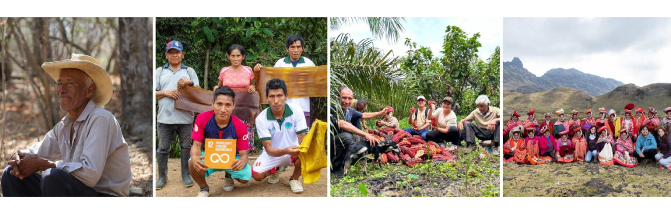 What is social entrepreneurship? 7 social enterprises that can inspire you