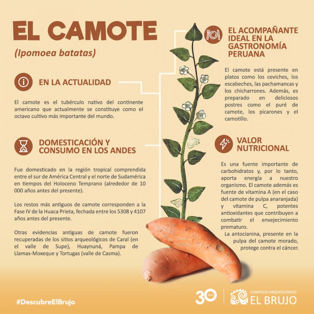 El camote