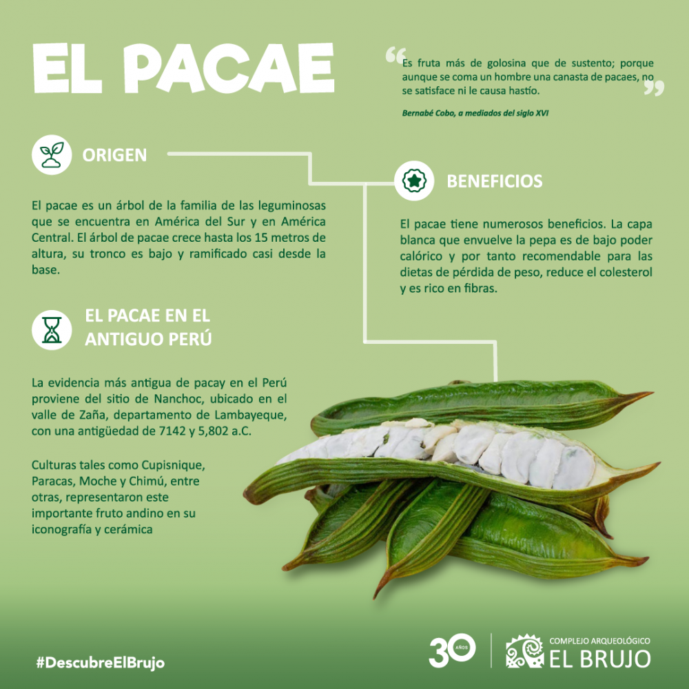 El pacae