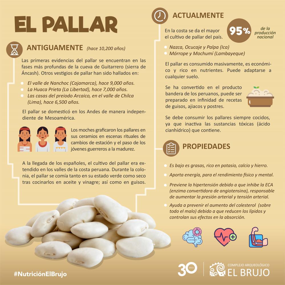 El pallar