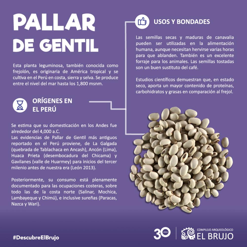 El pallar de gentil