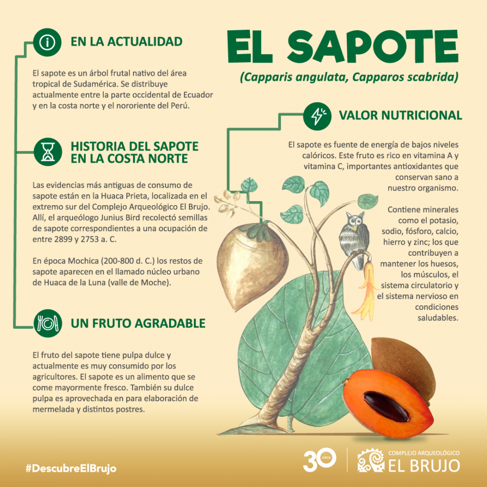 El sapote
