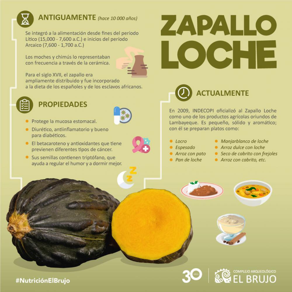 El zapallo loche