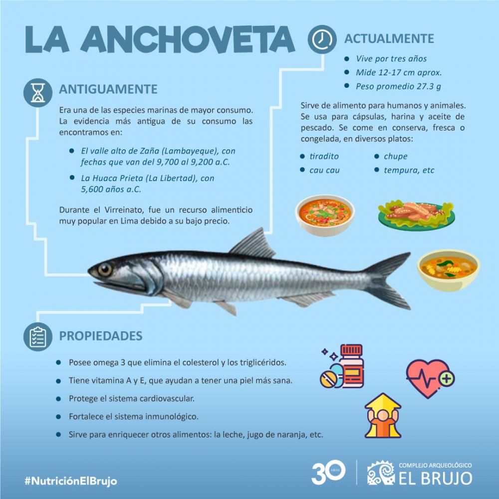 La anchoveta
