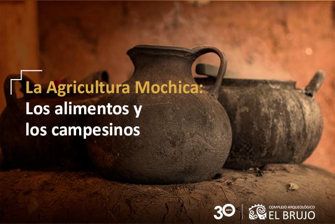 la agricultura mochica. los alimentos y los campesinos