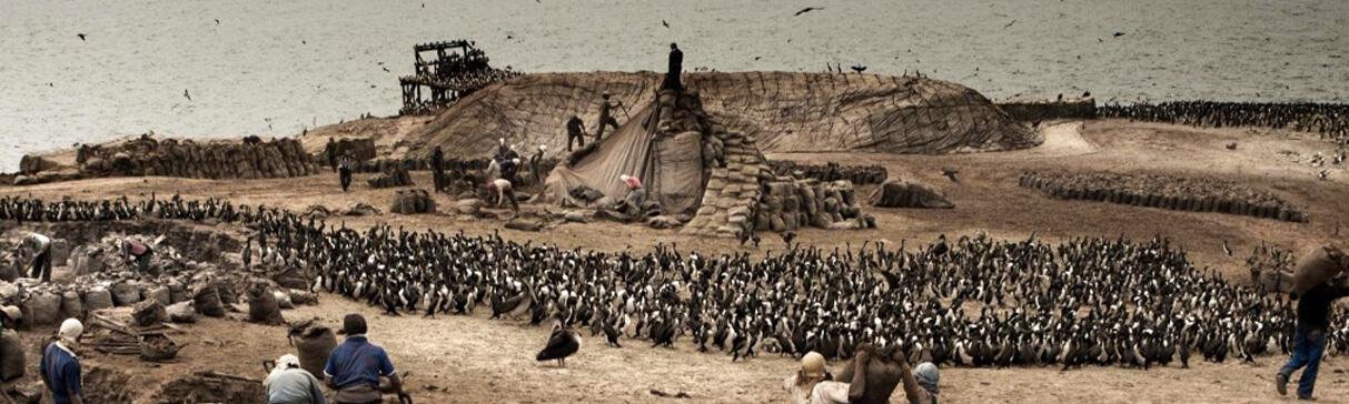 Las Islas del Litoral Andino: Apuntes sobre su Economía y Ritos en Periodos Prehispánicos – parte 1