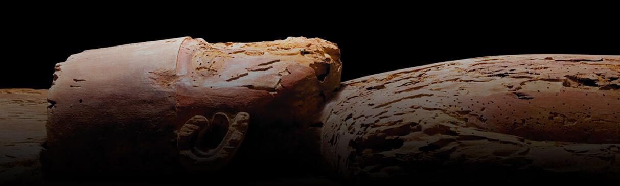 La conservación del Ídolo de Madera