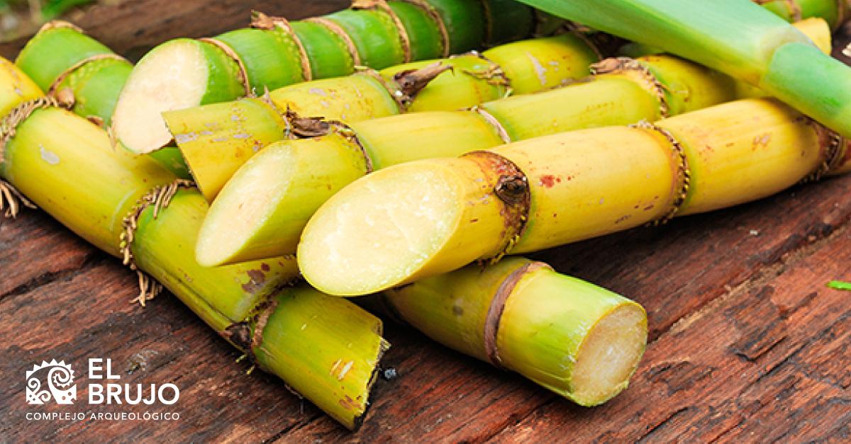 Plantas Alimenticias Introducidas en el Valle de Chicama Durante el Virreinato del Perú