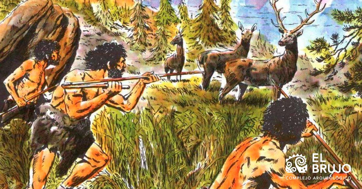 Cultura mochica: animales con los que interactuaban en la época prehispánica