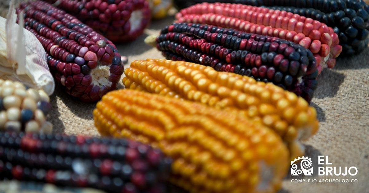 La alimentación en el antiguo Perú